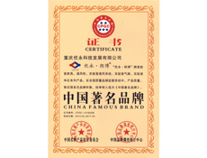 重庆91视频成人网站设计