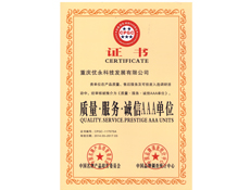 重庆91视频成人网站设计