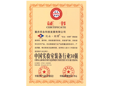 重庆91视频成人网站设计
