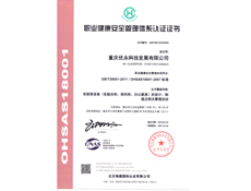 重庆91视频成人网站设计