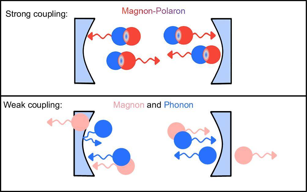 6G網絡關鍵突破:“混血”波將重塑通信底層邏輯