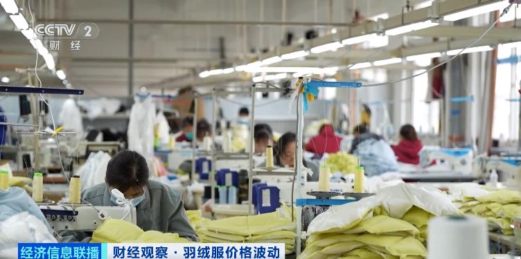 羽絨服大漲價(jià)!什么情況?